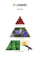 Jaquel Lotus Kadın Parfüm 100ml