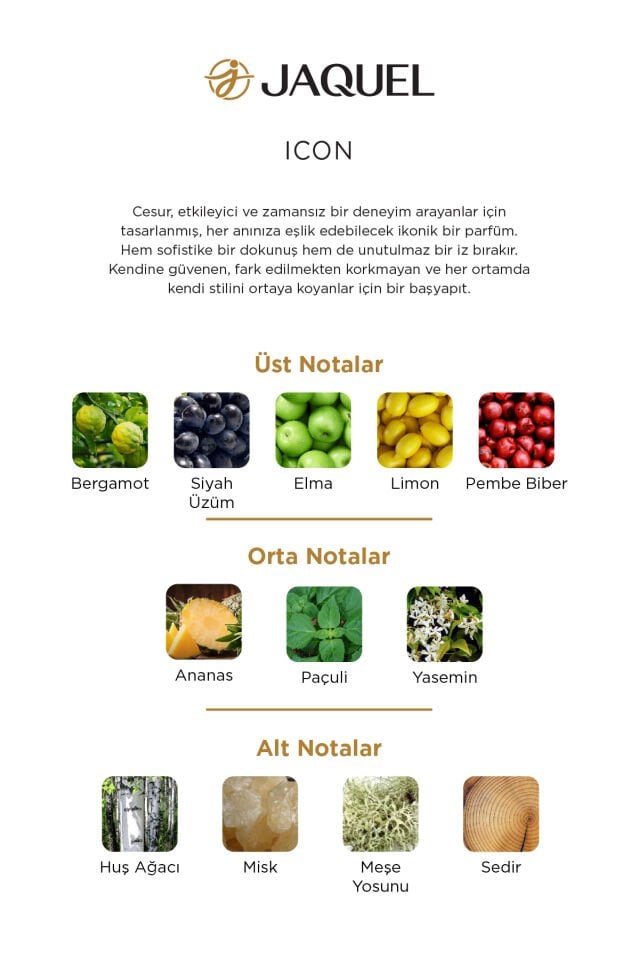 Jaquel Icon Erkek Parfüm 100ml