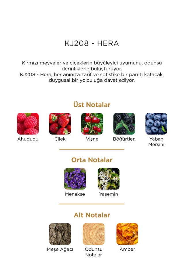 Jaquel KJ208 Exclusive Kadın Parfüm 50ml