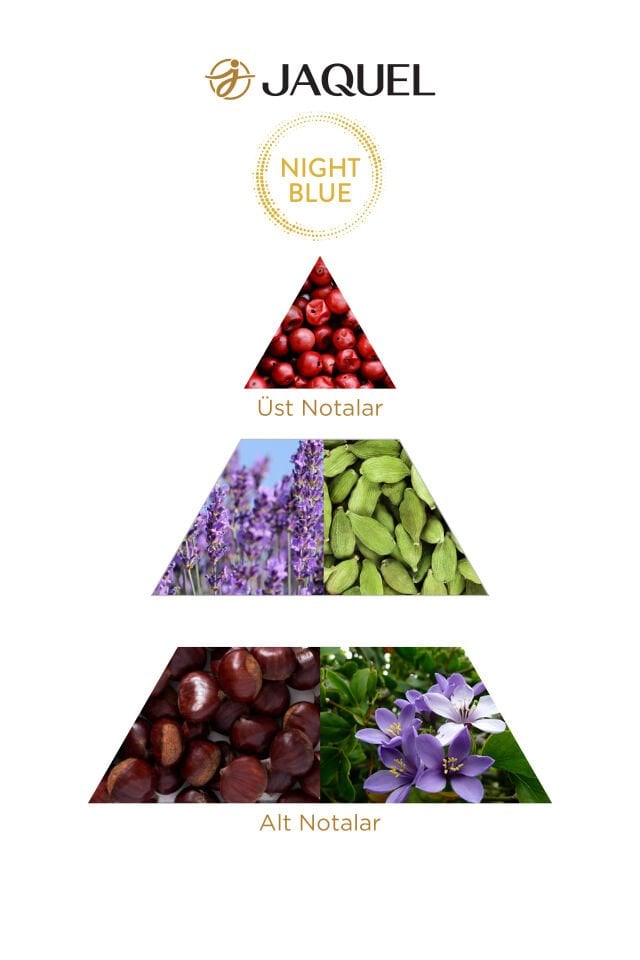 Jaquel Night Blue Erkek Parfümü 100ml